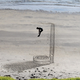 Illustration for article titled These Gorgeous Beachside Optical Illusions Will Fool You